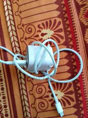 Apple Charger