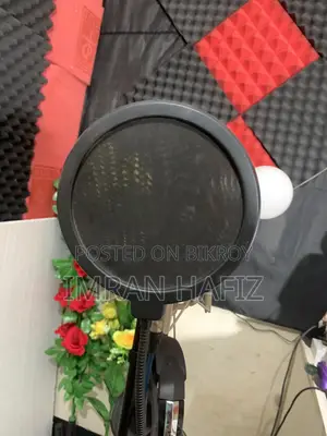 U 87 Condenser Microphone With Pof Filter