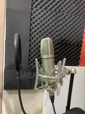 U 87 Condenser Microphone With Pof Filter