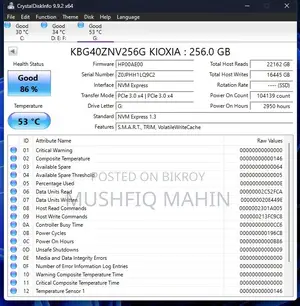 NVMe PCIe Gen3 X4 256gb SSD