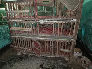 মুরগি পালনের জন্য বৈজ্ঞানিক পদ্ধতিতে তৈরি তিনতলা খাঁচা সাইজ অনেক বড়