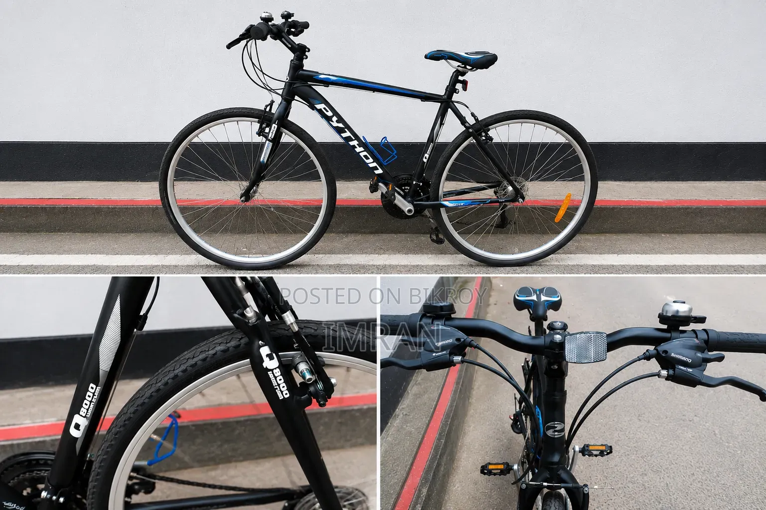 Phython Cycle