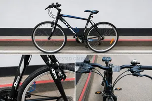 Phython Cycle