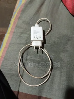 Vivo Charger