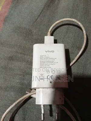 Vivo Charger