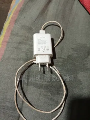 Vivo Charger