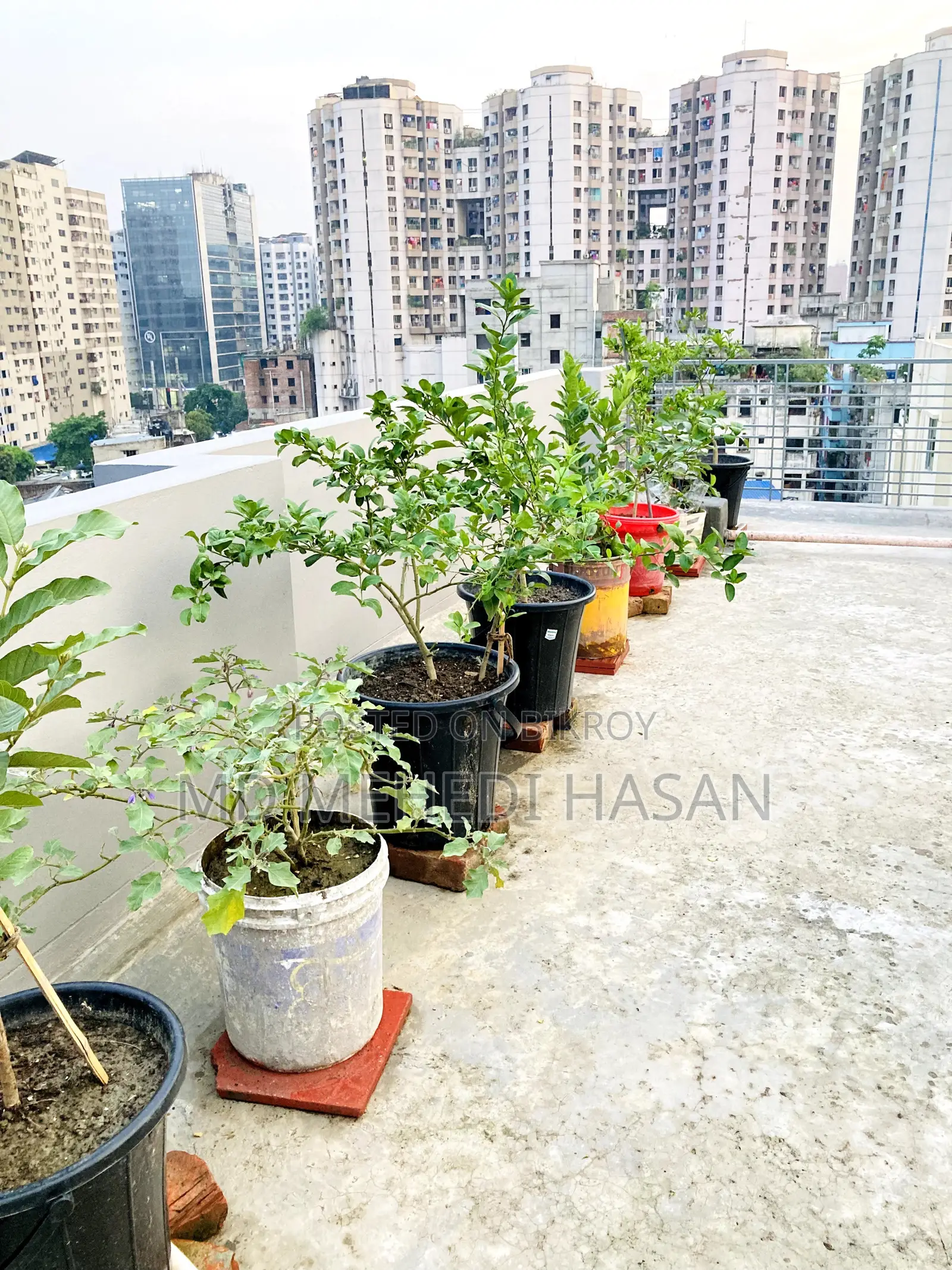 3bdrm Apartment in National Water Front, Shahjadpur for sale
