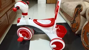 একেবারেই নতুন রয়েল রাইডার