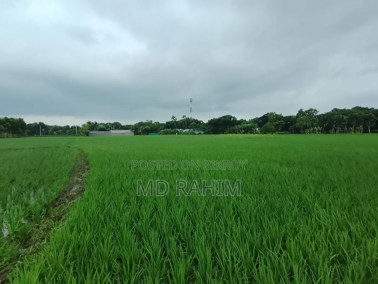 বিক্রয় হবে