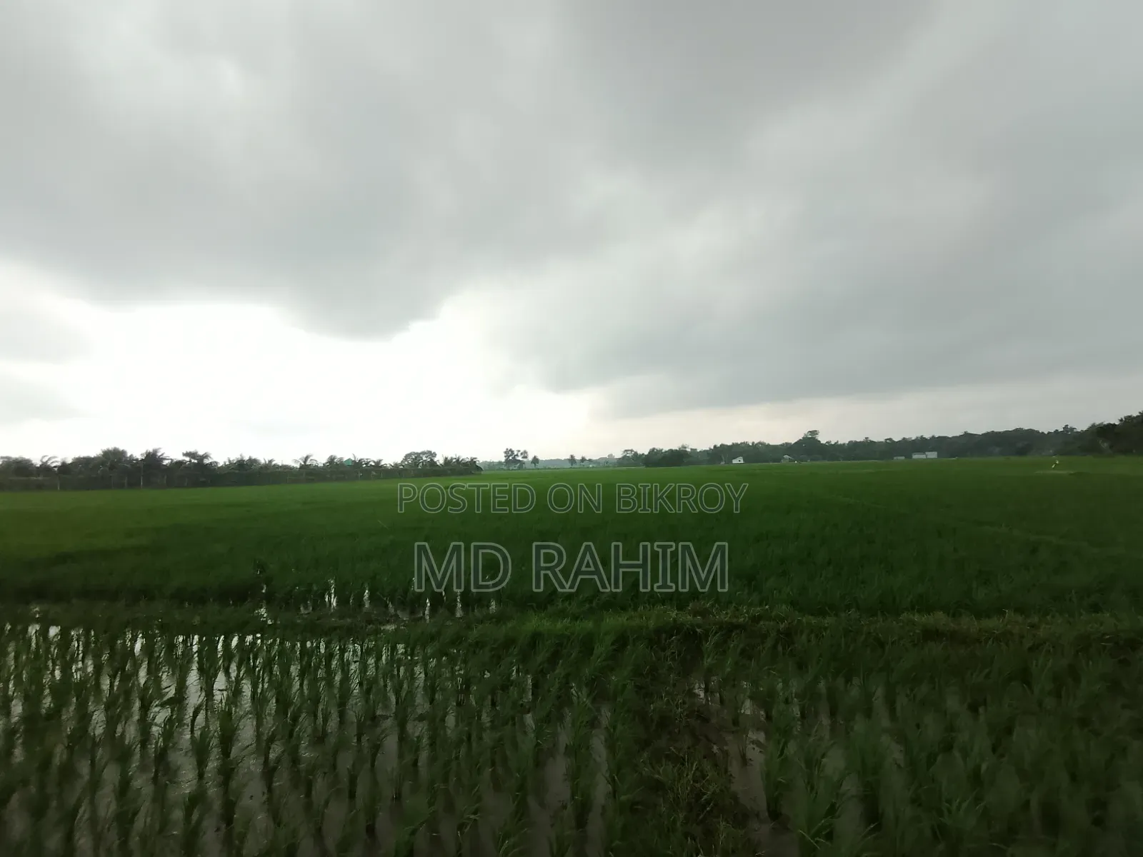 বিক্রয় হবে