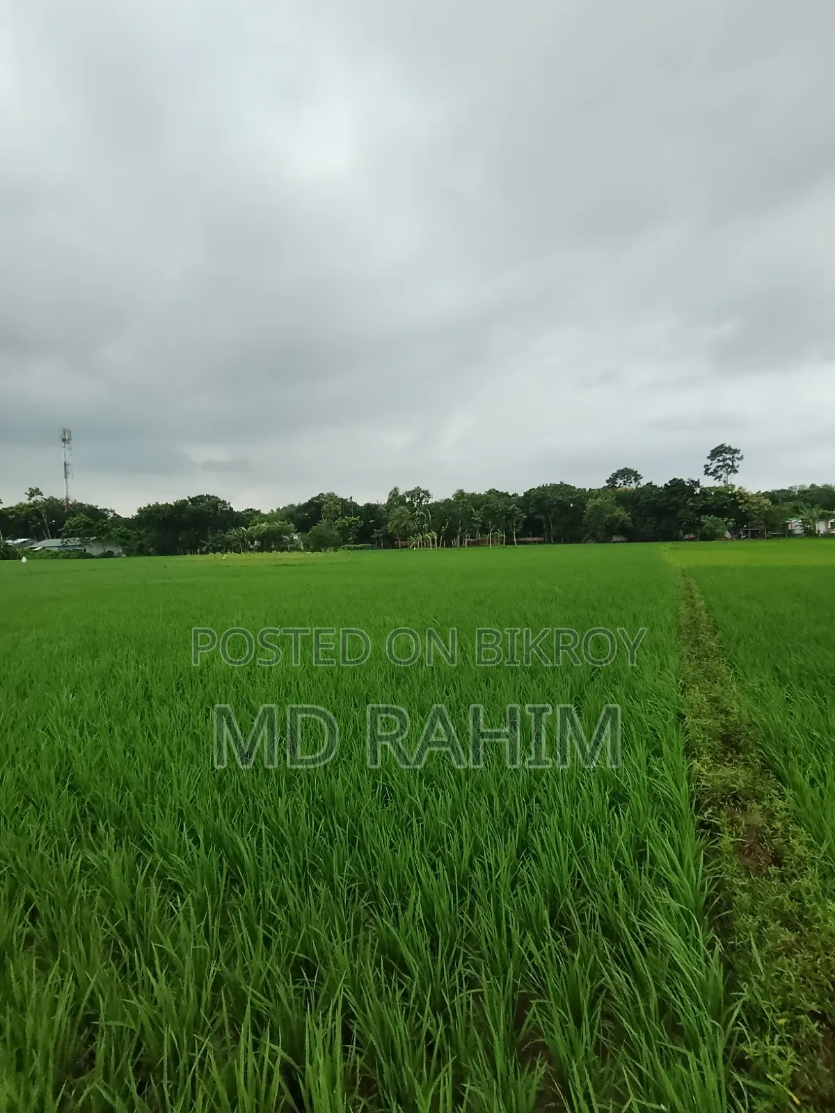 বিক্রয় হবে