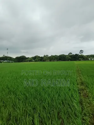 বিক্রয় হবে