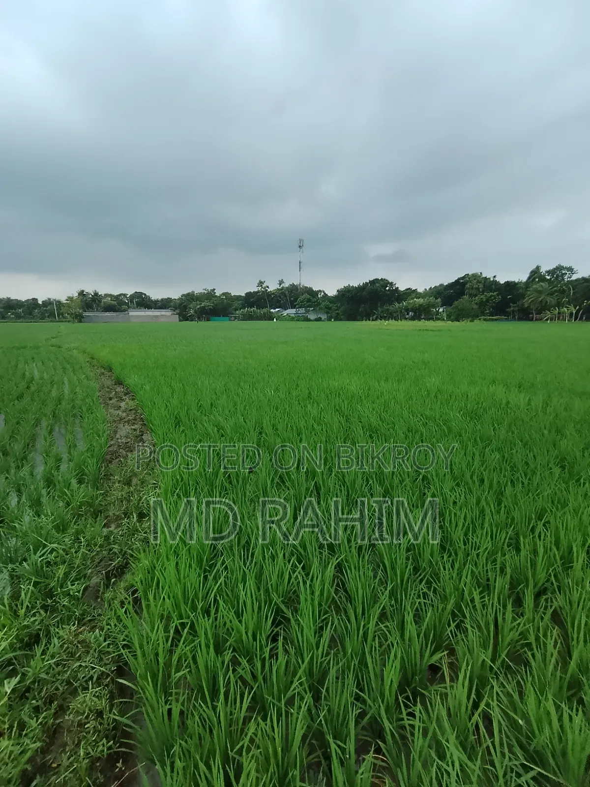 বিক্রয় হবে
