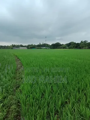 বিক্রয় হবে