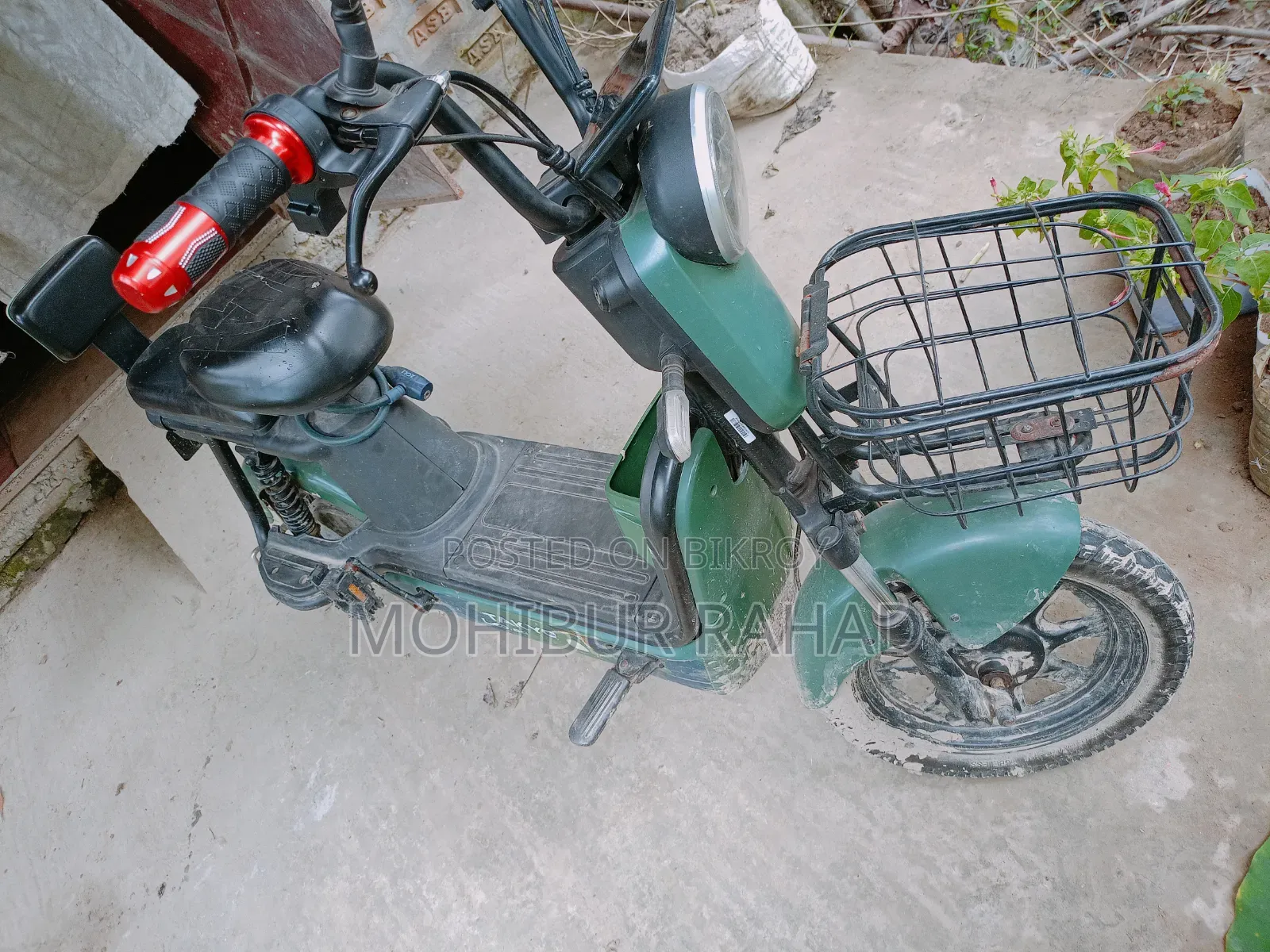 Walton Leo 90 2023 Green