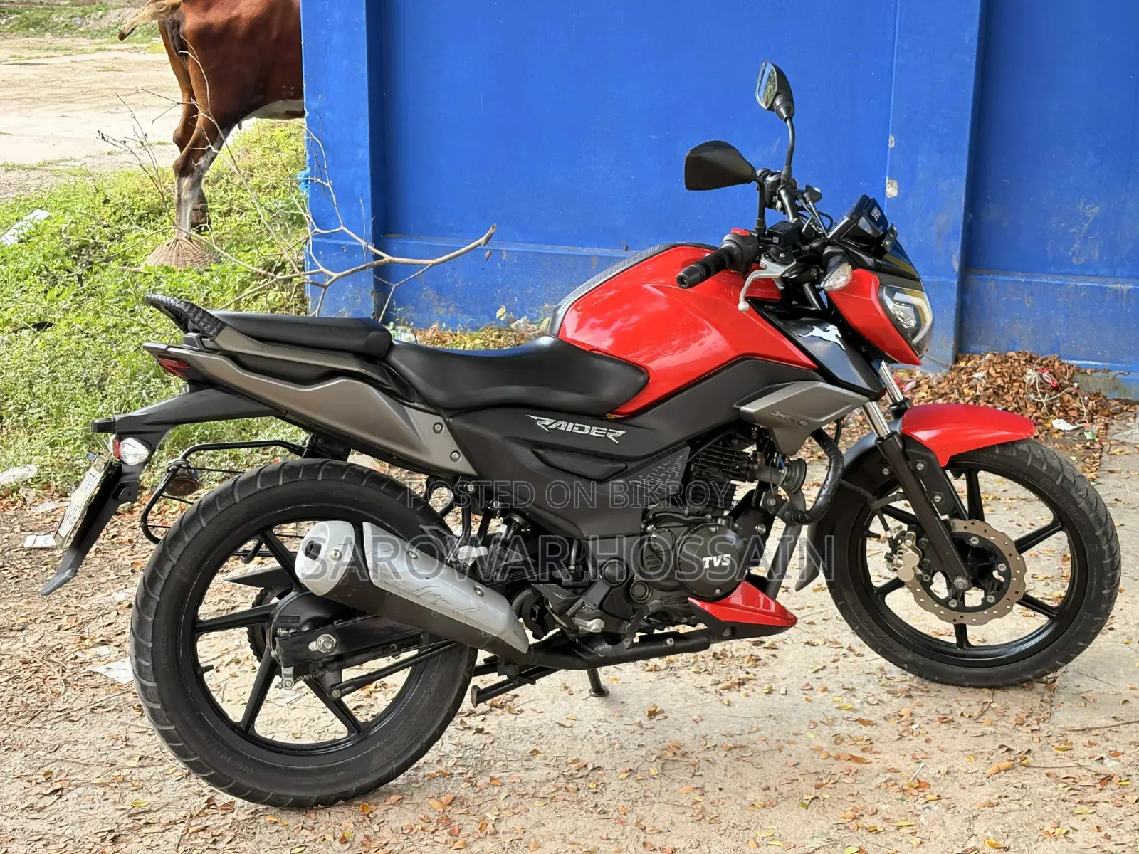 TVS Raider 125 2022 Red