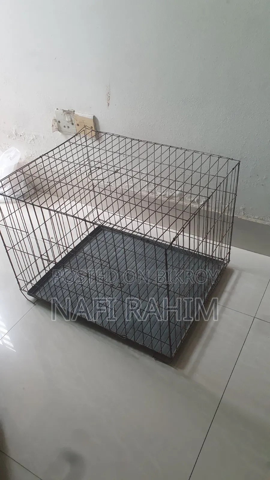 Bird Cage