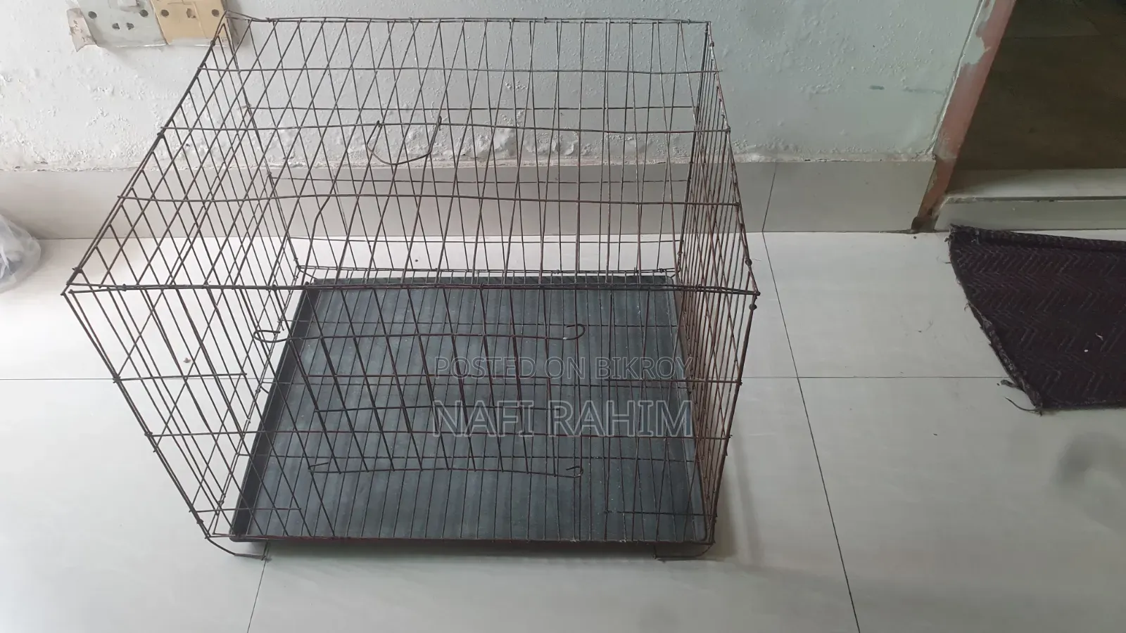 Bird Cage