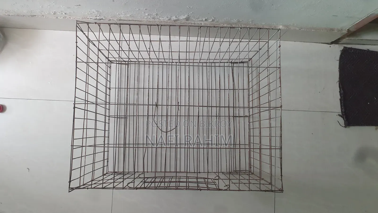 Bird Cage
