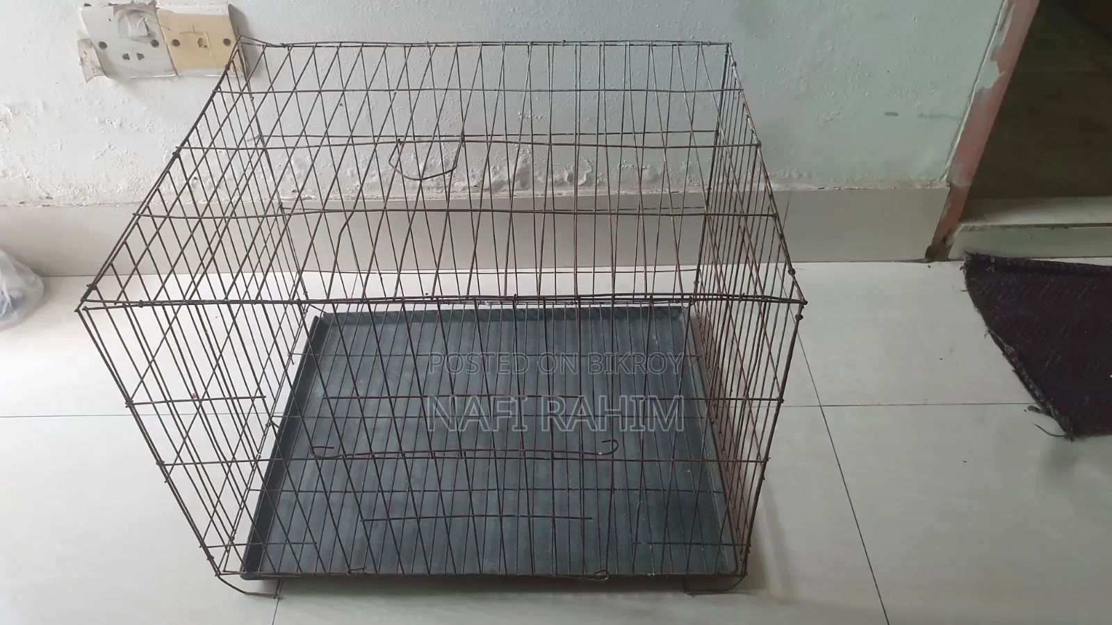 Bird Cage