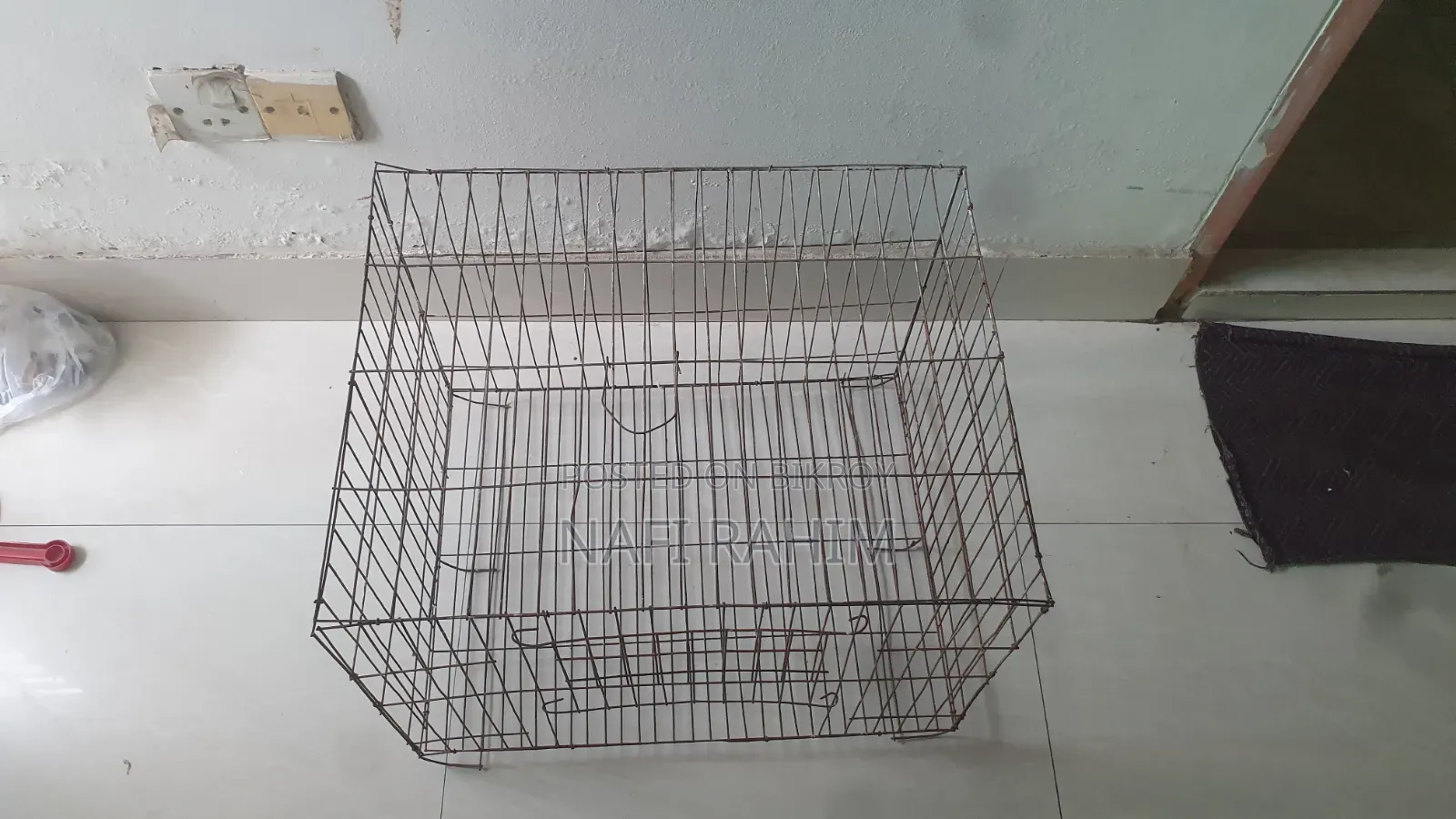 Bird Cage