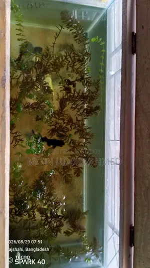 Aquarium 2.5 Fit