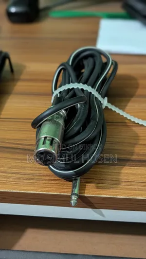 100 XLR Microphone