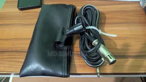100 XLR Microphone