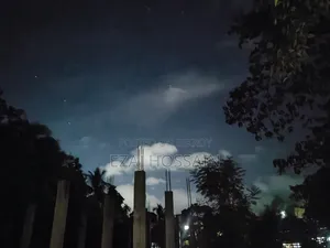 🚨 আর্জেন্ট! সুলভ মূল্যে বিলের ও বসতবাড়ির জমি বিক্রয় হবে।