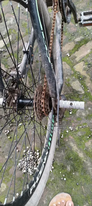 Bi Cycle .....