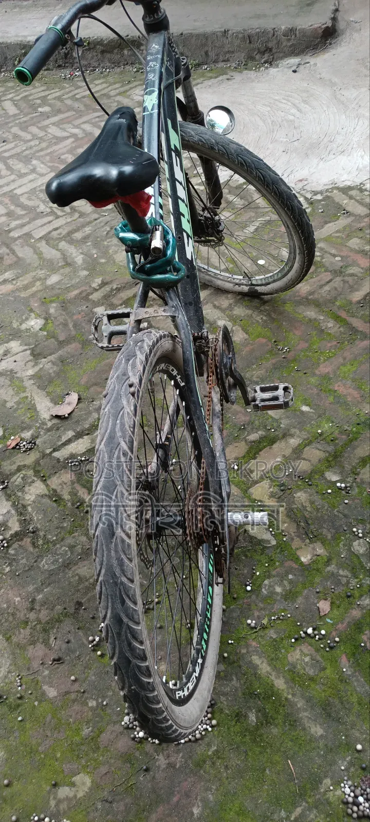 Bi Cycle .....