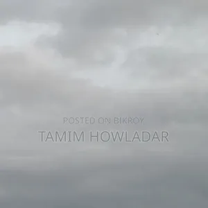 বাঞ্জা  কবুতর দরকার