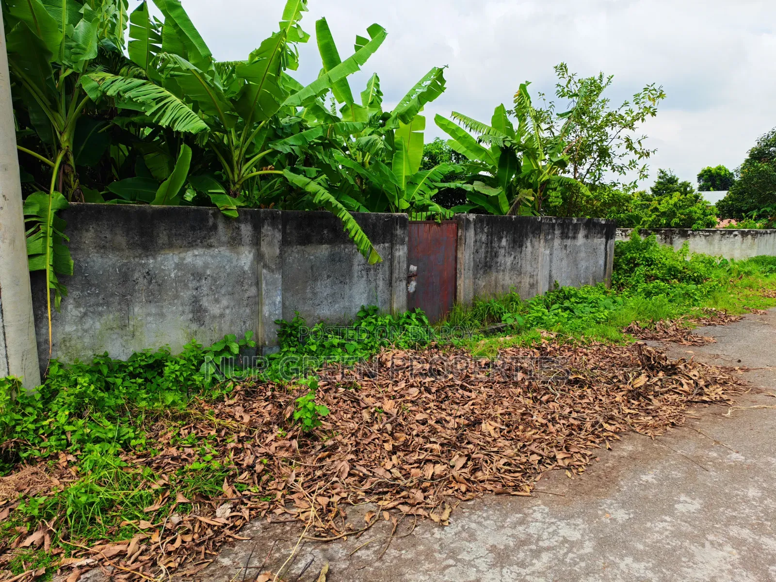 ৫ কাঠা দক্ষিণ মুখী  কমদামে প্লট  বিক্রি করা হবে