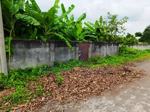 ৫ কাঠা দক্ষিণ মুখী  কমদামে প্লট  বিক্রি করা হবে