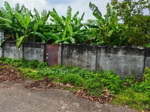 ৫ কাঠা দক্ষিণ মুখী  কমদামে প্লট  বিক্রি করা হবে