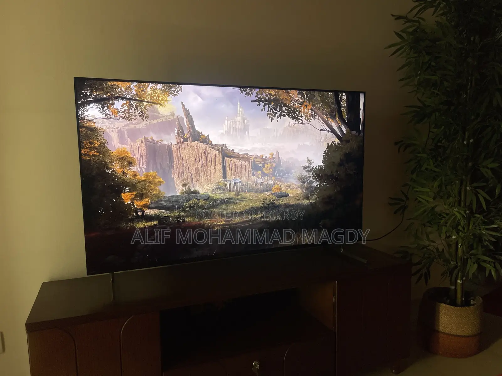 Sony Bravia X90L 55" 4K 120Hz TV (Read the Ad Carefully)