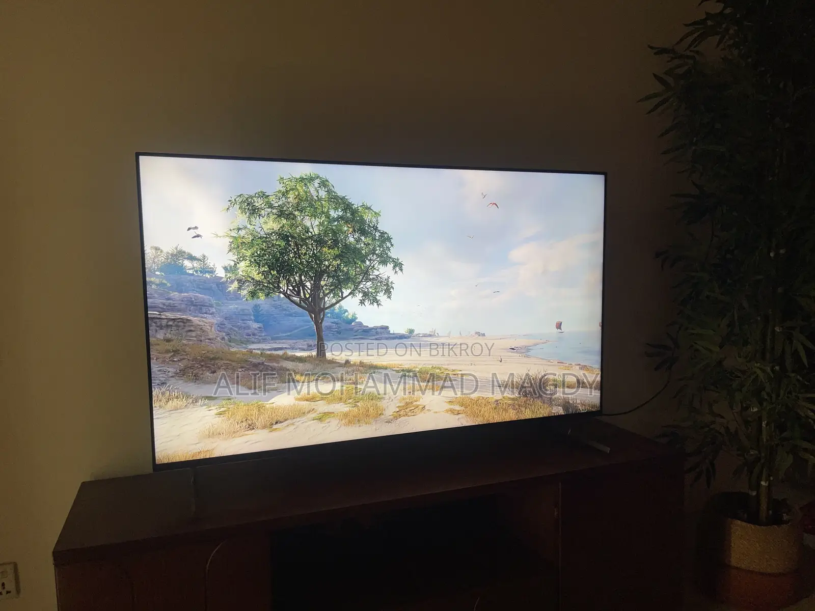 Sony Bravia X90L 55" 4K 120Hz TV (Read the Ad Carefully)