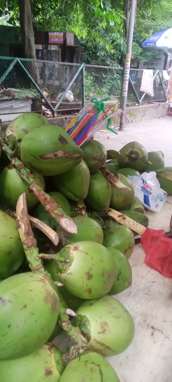 বরিশালের কচি ডাব
