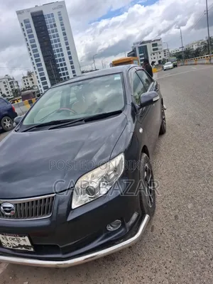 Toyota Axio 1.5 G 2WD 2010 Gray