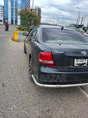 Toyota Axio 1.5 G 2WD 2010 Gray