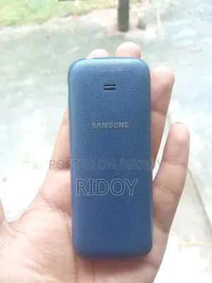 Samsung Guru Music 2