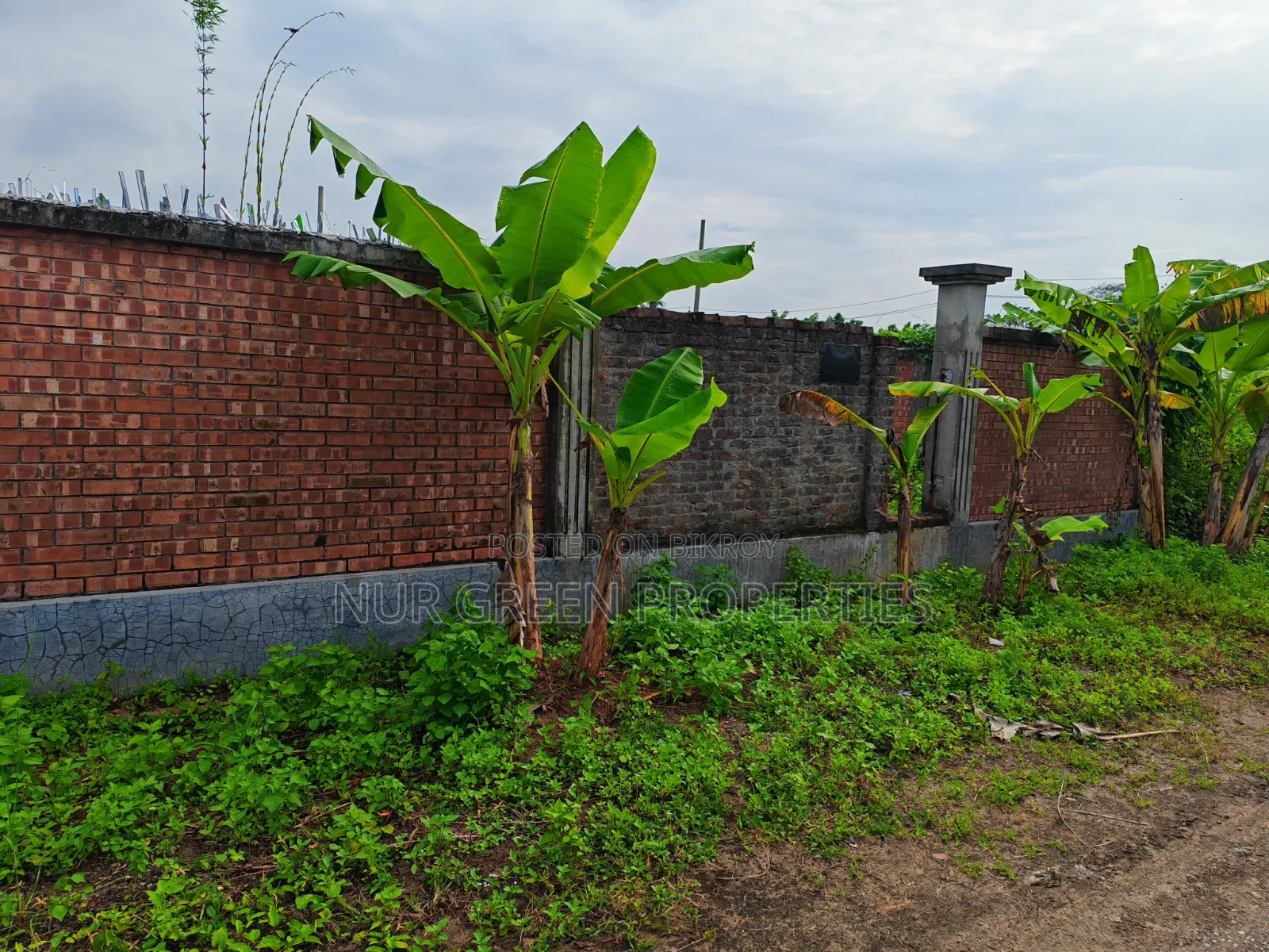 ৩ কাঠা প্লট বিক্রি কম দামে পূর্বমুখী