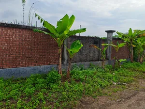 ৩ কাঠা প্লট বিক্রি কম দামে পূর্বমুখী
