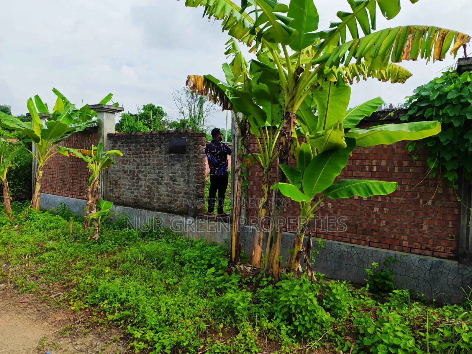 ৩ কাঠা প্লট বিক্রি কম দামে পূর্বমুখী