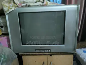 Sony TV 20 "