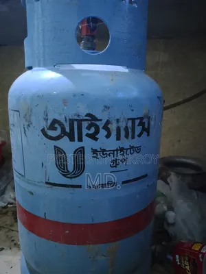 গ্যাসের চুলা প্লাস গ্যাস সিলিন্ডার