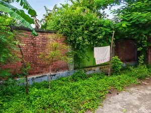 ৩ কাঠা প্লট বিক্রি দক্ষিণ মুখী