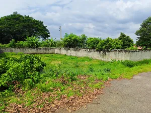 ৩ কাঠা প্লট বিক্রি করা হবে  ১০০ ফিট ও ৩০ ফিট কনার