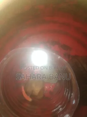 Aggressive Red Molly বিক্রি