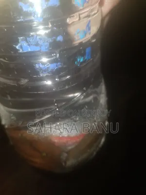 Aggressive Red Molly বিক্রি